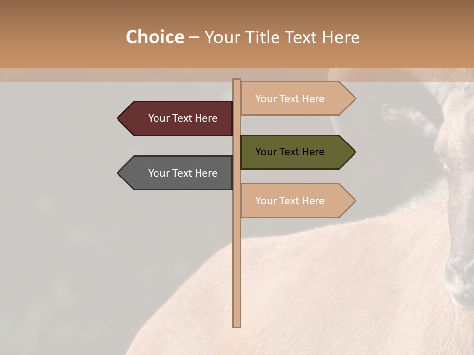 Mammal Ungulate Male PowerPoint Template