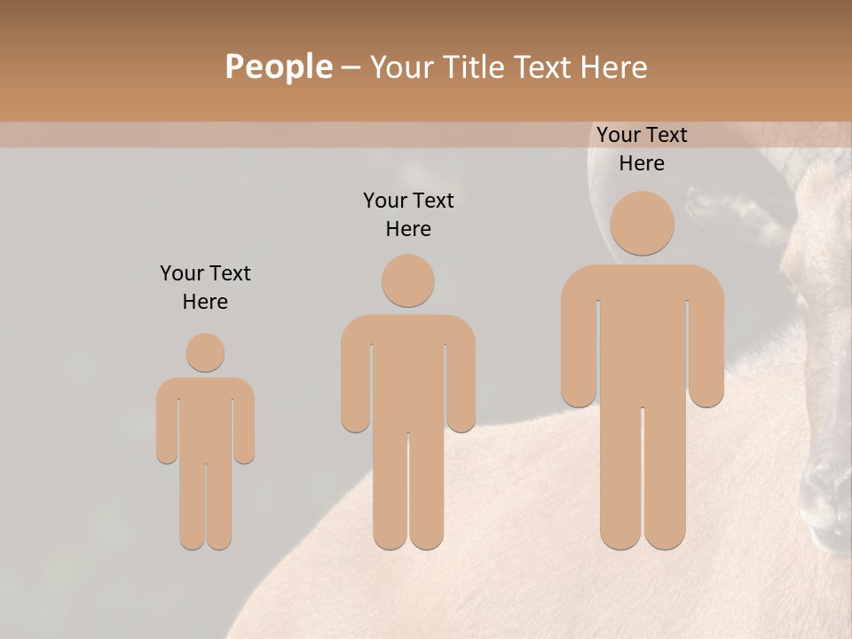 Mammal Ungulate Male PowerPoint Template