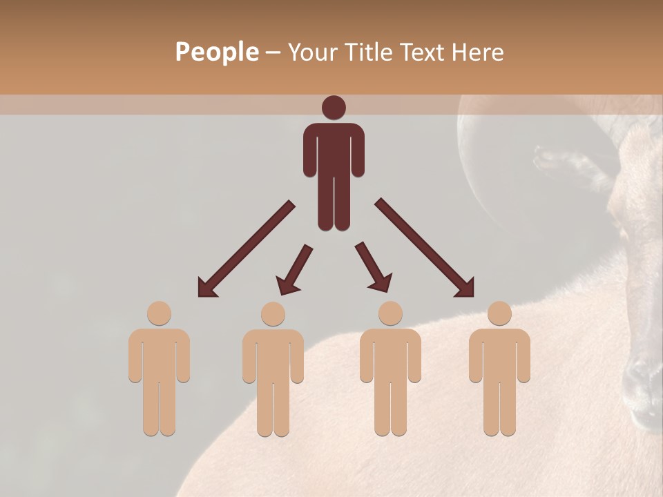 Mammal Ungulate Male PowerPoint Template