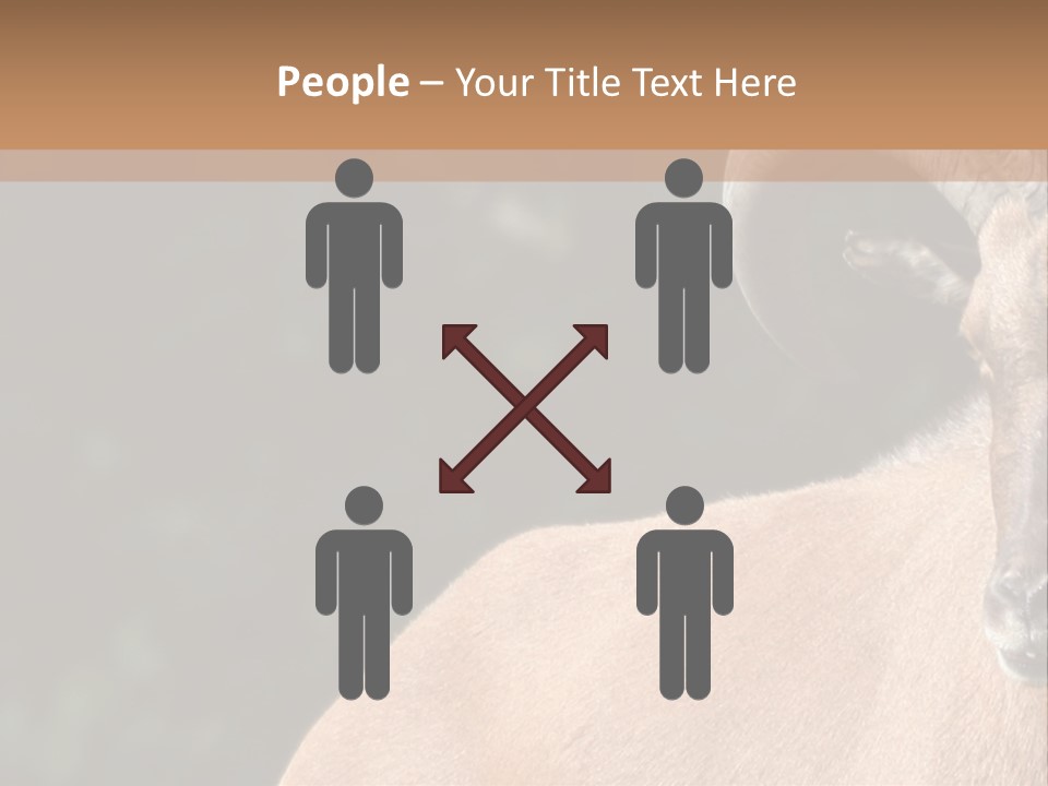 Mammal Ungulate Male PowerPoint Template