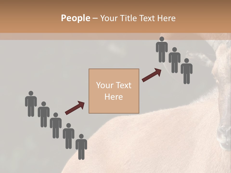 Mammal Ungulate Male PowerPoint Template