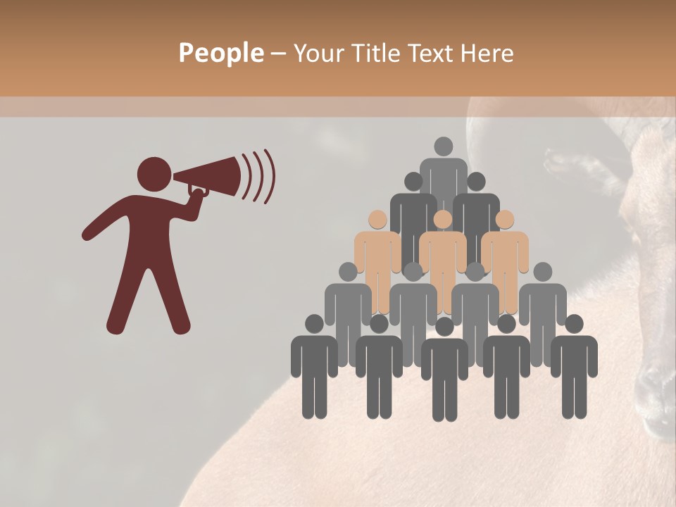 Mammal Ungulate Male PowerPoint Template