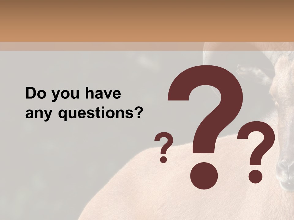 Mammal Ungulate Male PowerPoint Template