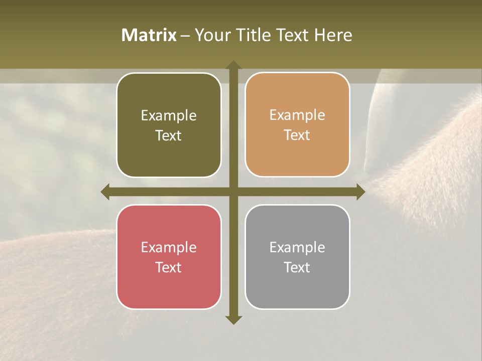 Brown Horns Hoofs PowerPoint Template