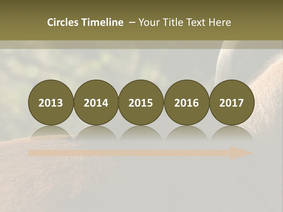 Brown Horns Hoofs PowerPoint Template