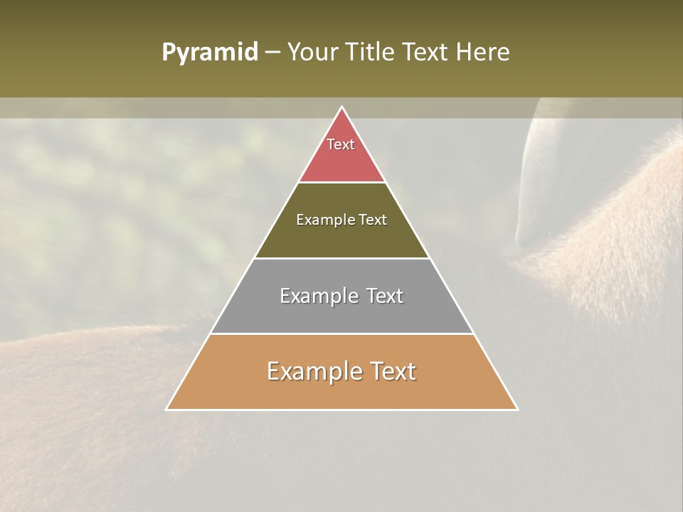 Brown Horns Hoofs PowerPoint Template