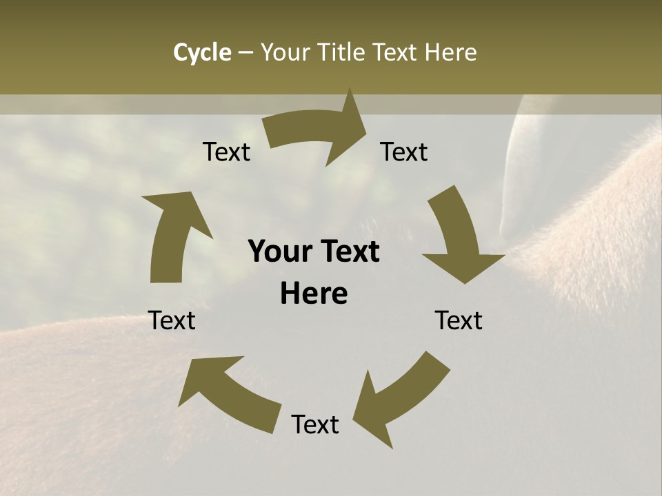 Brown Horns Hoofs PowerPoint Template