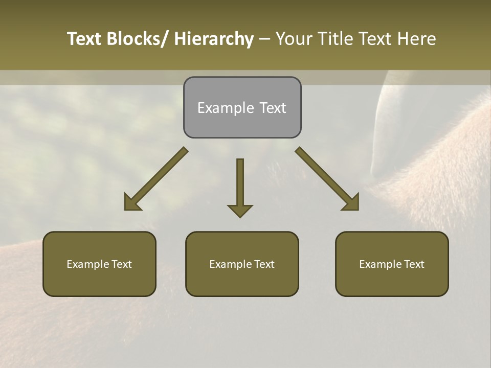 Brown Horns Hoofs PowerPoint Template