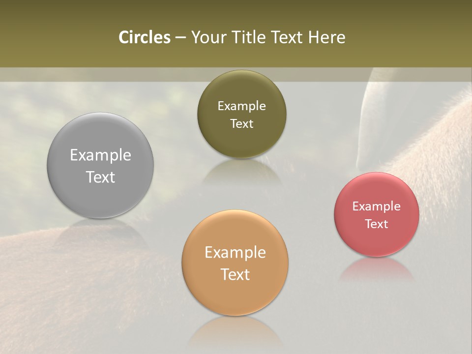 Brown Horns Hoofs PowerPoint Template