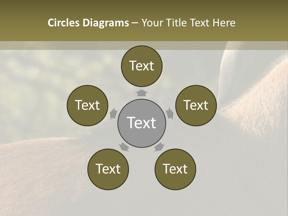 Brown Horns Hoofs PowerPoint Template