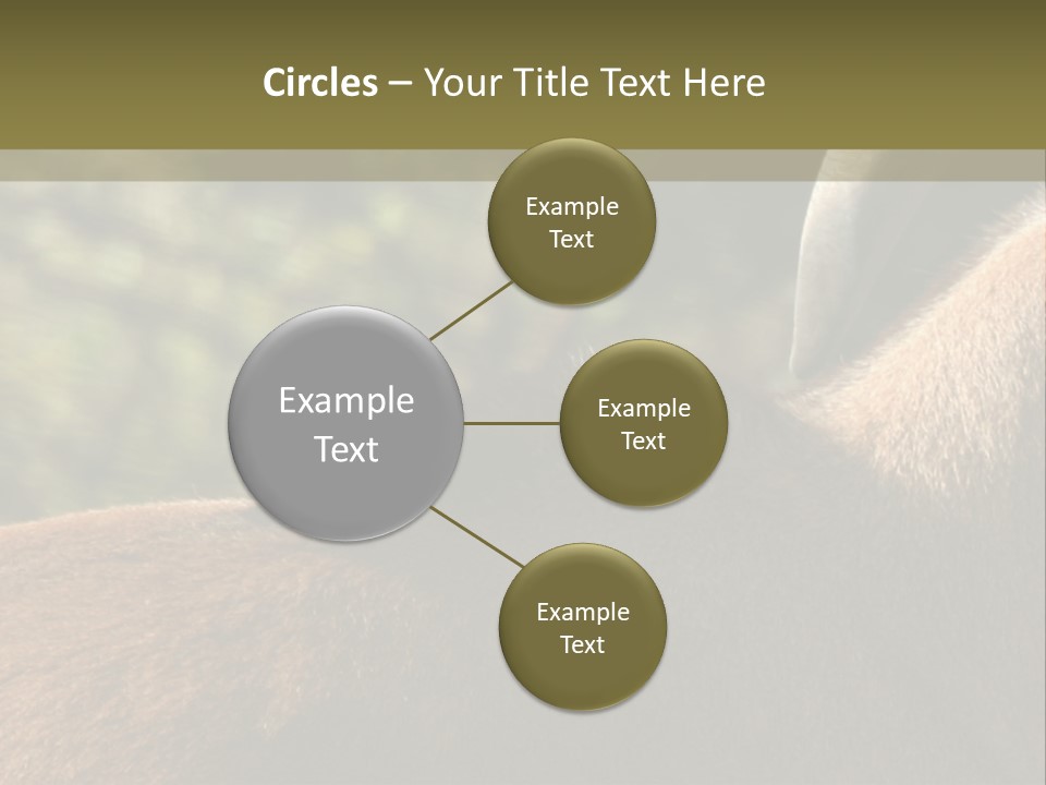 Brown Horns Hoofs PowerPoint Template