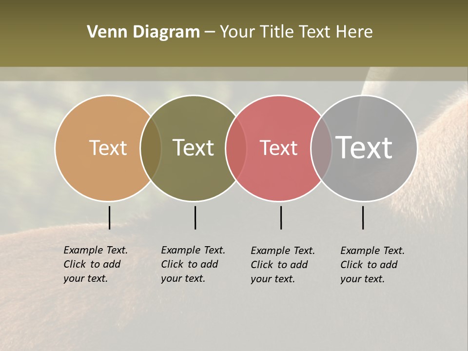 Brown Horns Hoofs PowerPoint Template