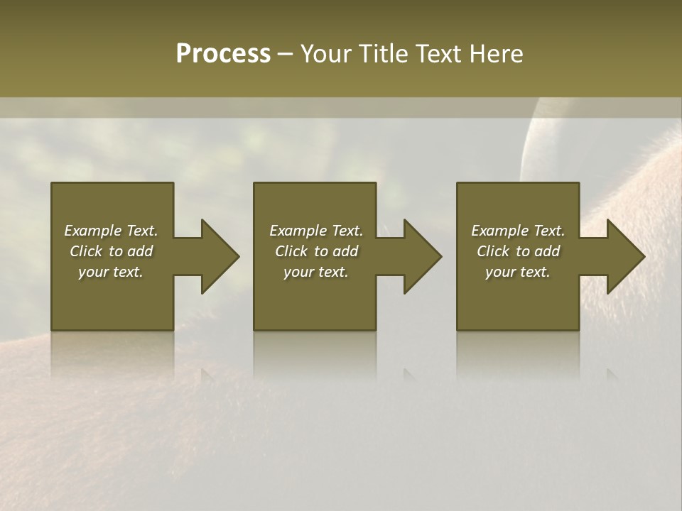 Brown Horns Hoofs PowerPoint Template
