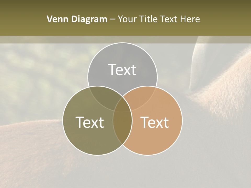 Brown Horns Hoofs PowerPoint Template