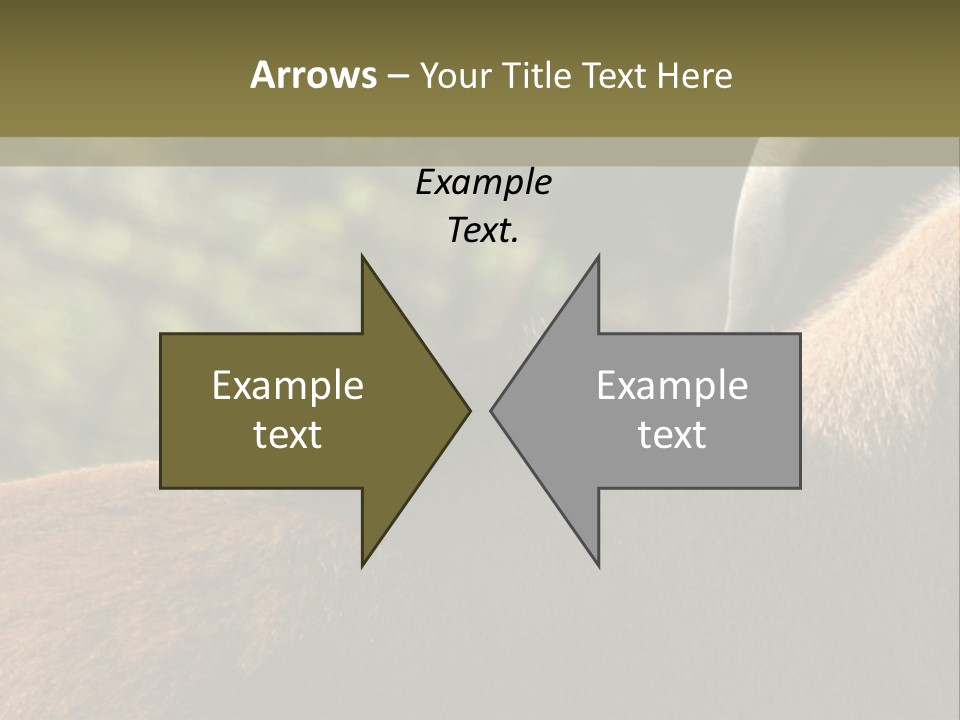 Brown Horns Hoofs PowerPoint Template