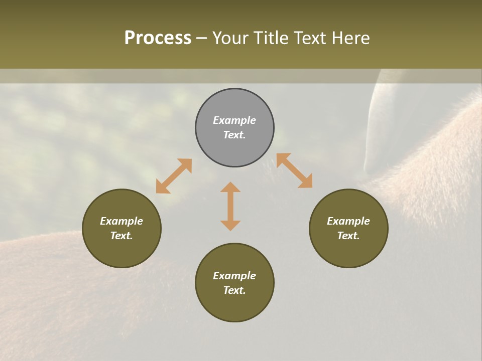 Brown Horns Hoofs PowerPoint Template