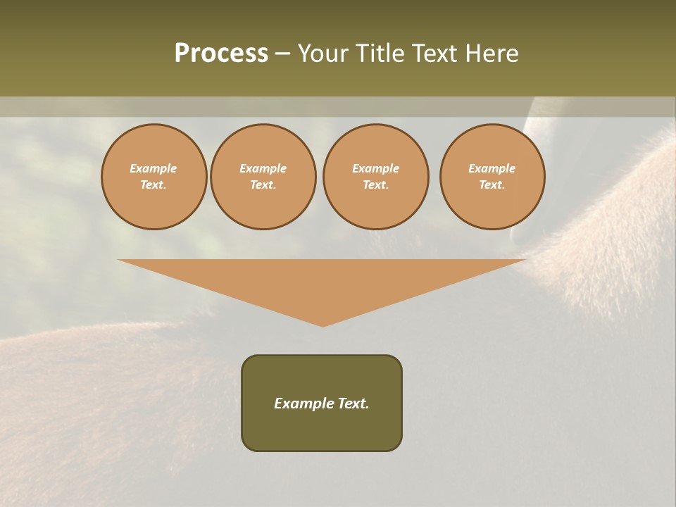 Brown Horns Hoofs PowerPoint Template