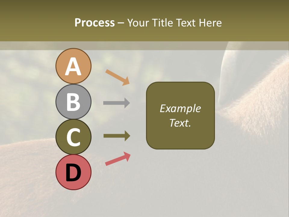 Brown Horns Hoofs PowerPoint Template