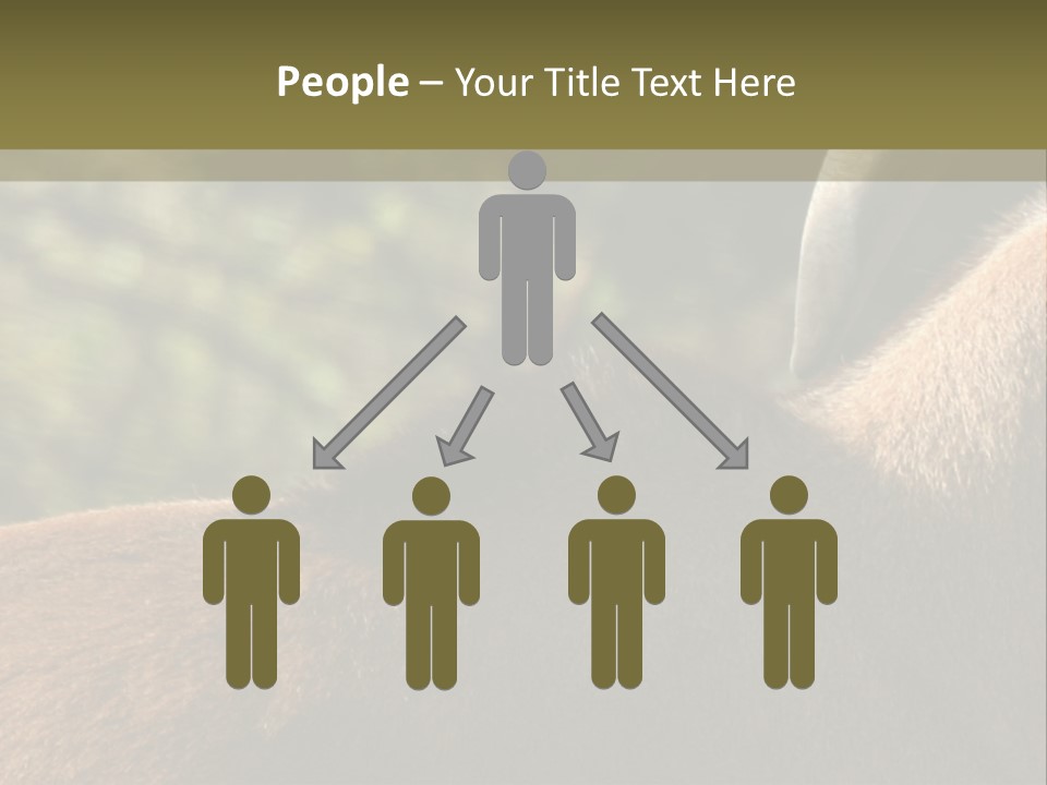 Brown Horns Hoofs PowerPoint Template