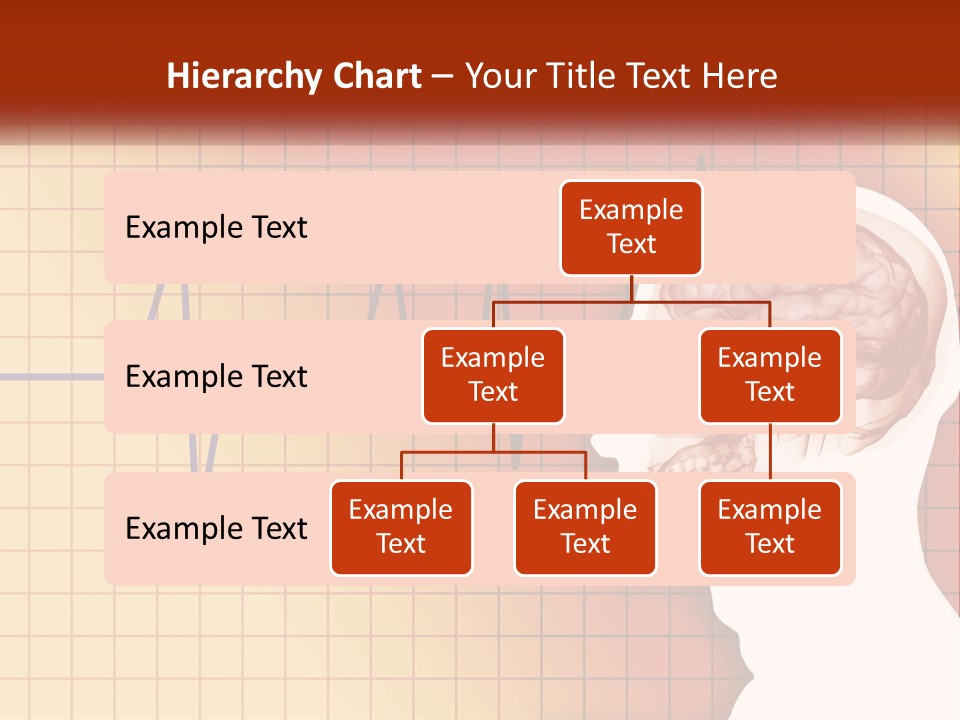 Conceptual Graph Concept PowerPoint Template