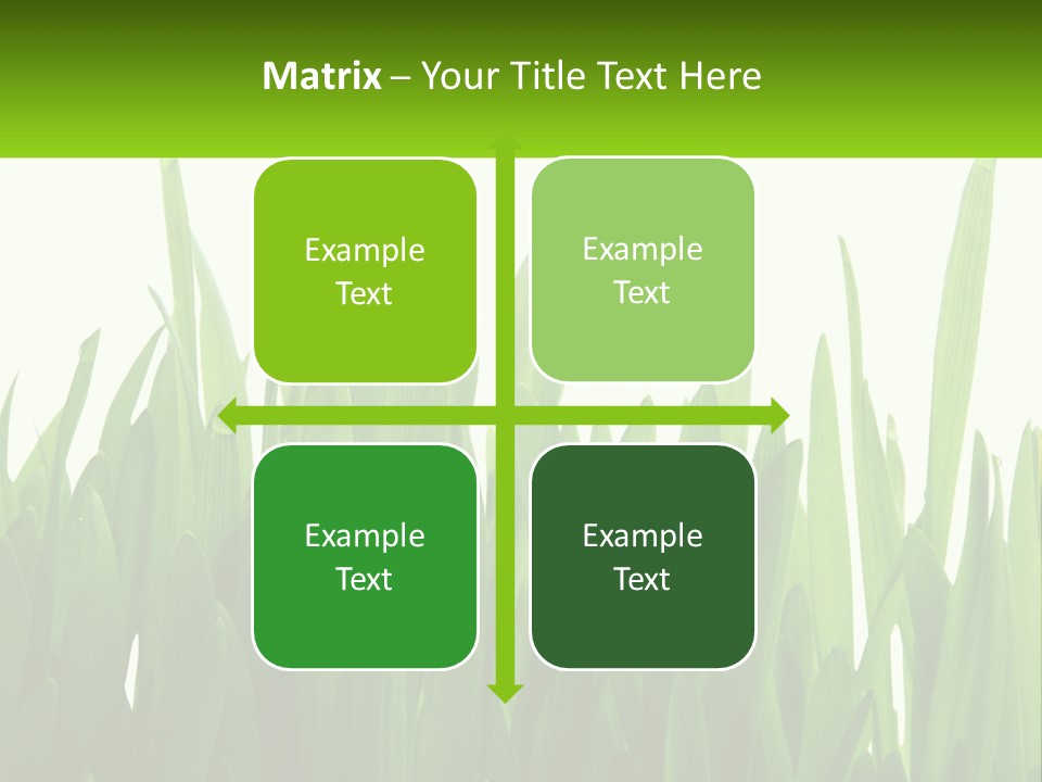 Pattern Path Decorative PowerPoint Template
