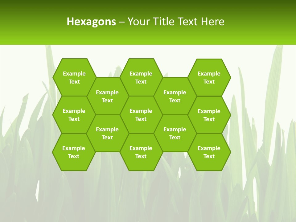 Pattern Path Decorative PowerPoint Template