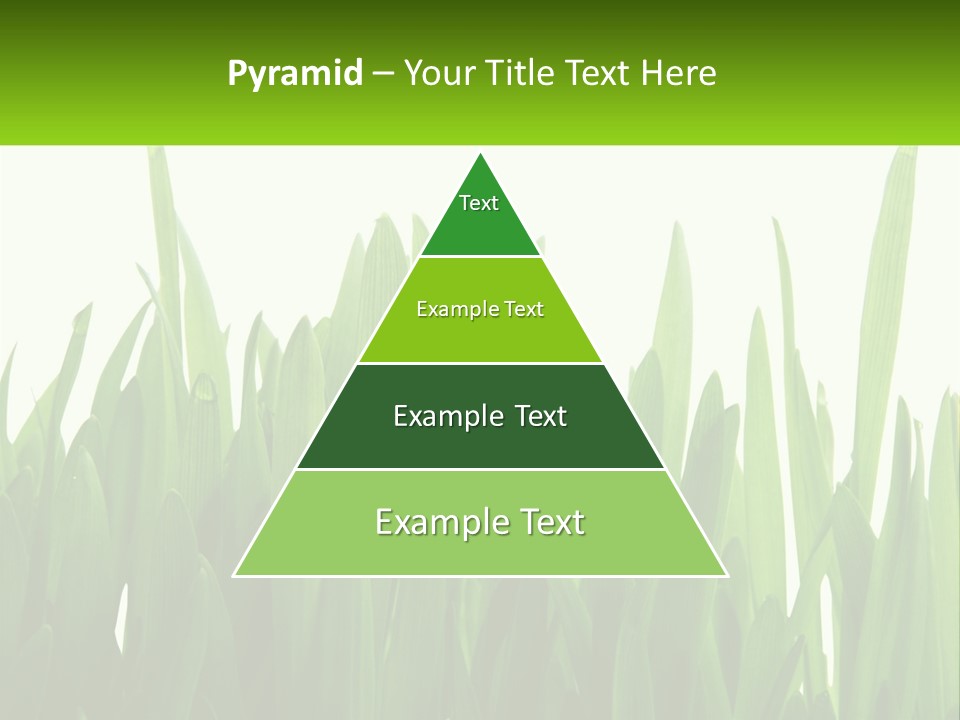 Pattern Path Decorative PowerPoint Template