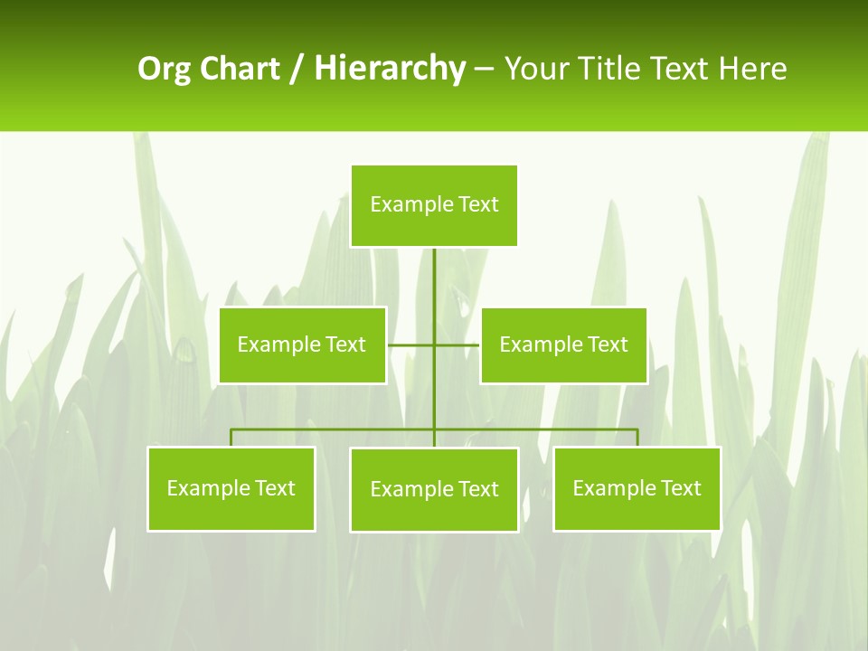 Pattern Path Decorative PowerPoint Template