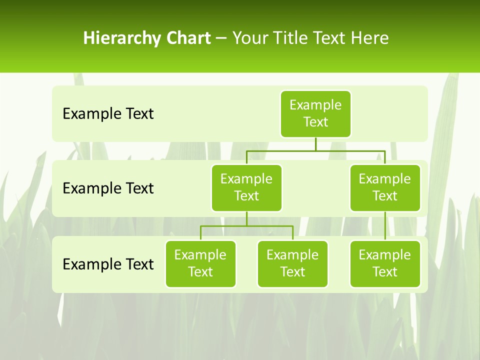 Pattern Path Decorative PowerPoint Template
