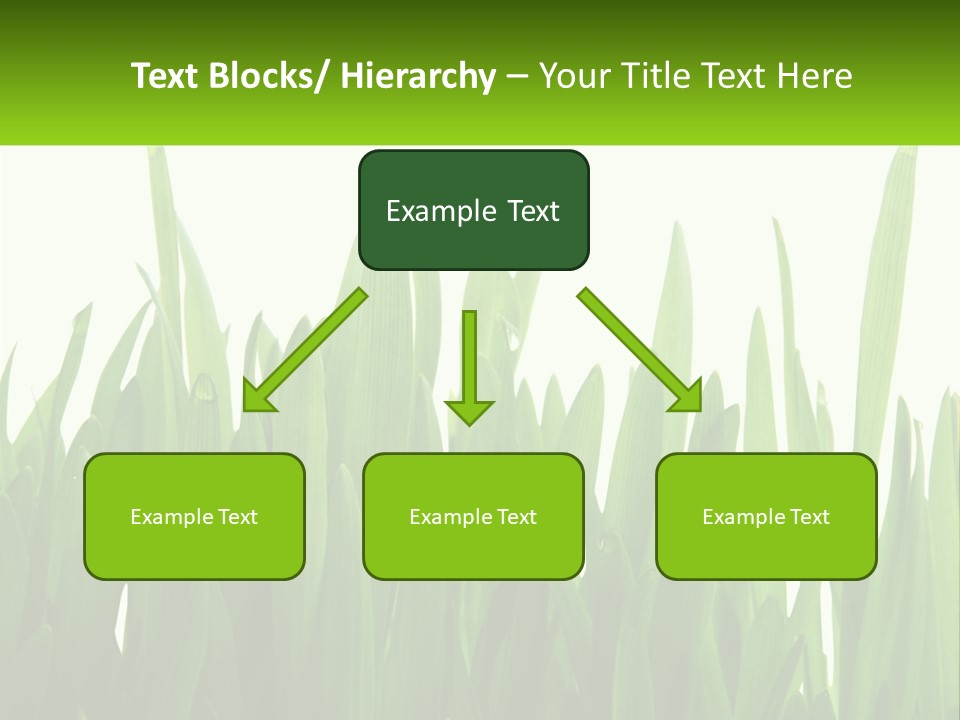 Pattern Path Decorative PowerPoint Template