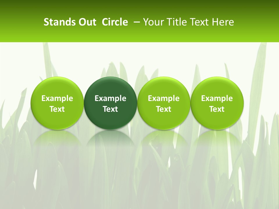 Pattern Path Decorative PowerPoint Template