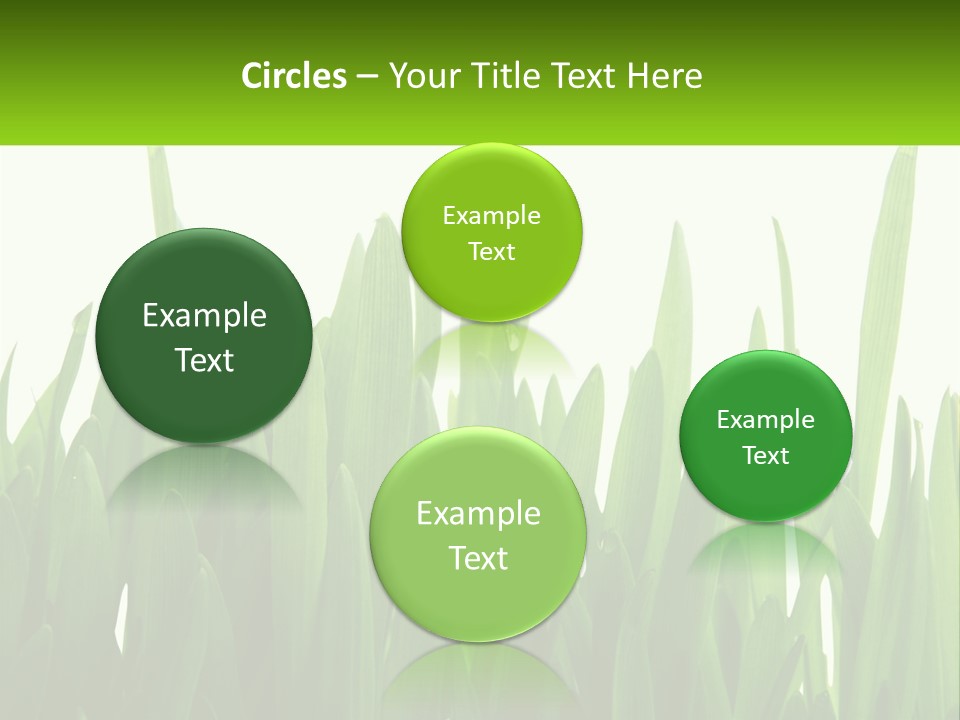 Pattern Path Decorative PowerPoint Template