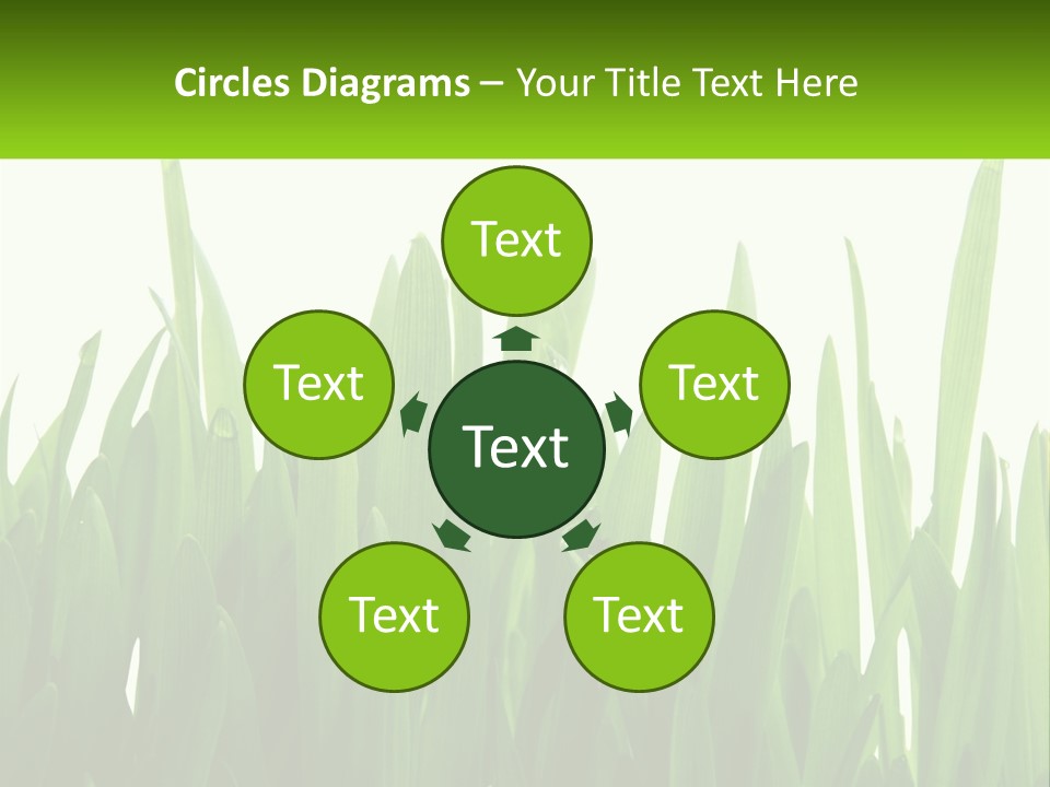 Pattern Path Decorative PowerPoint Template