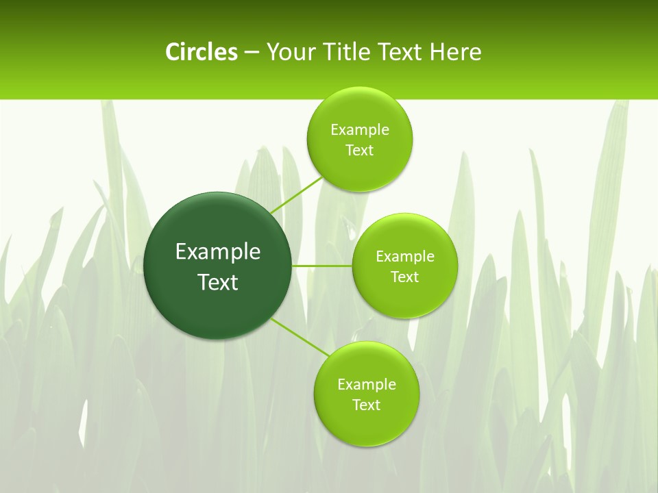 Pattern Path Decorative PowerPoint Template