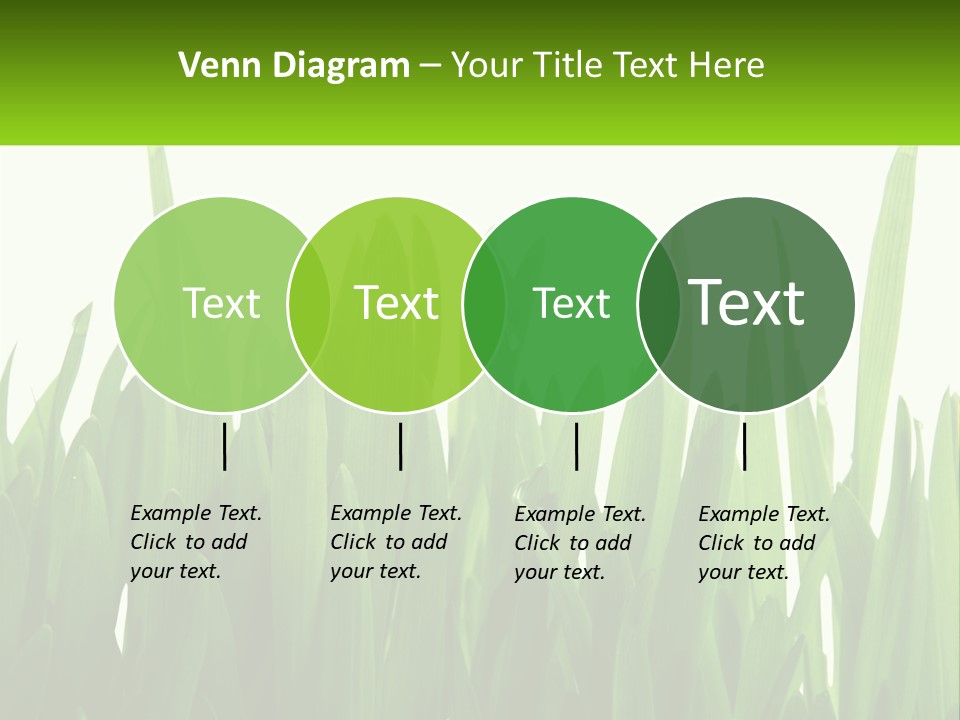 Pattern Path Decorative PowerPoint Template