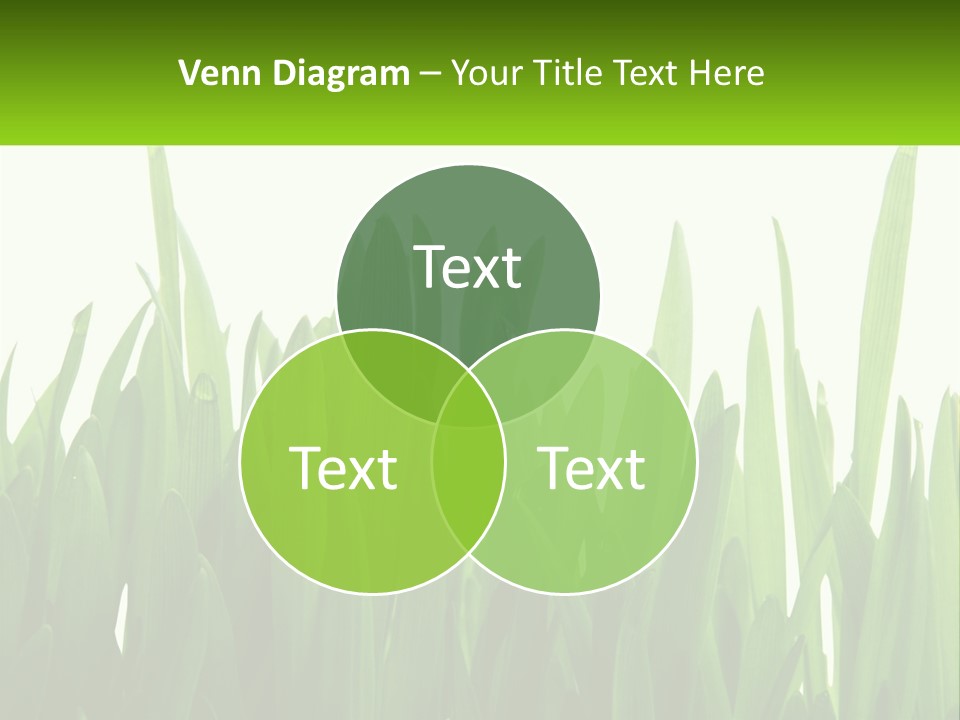 Pattern Path Decorative PowerPoint Template