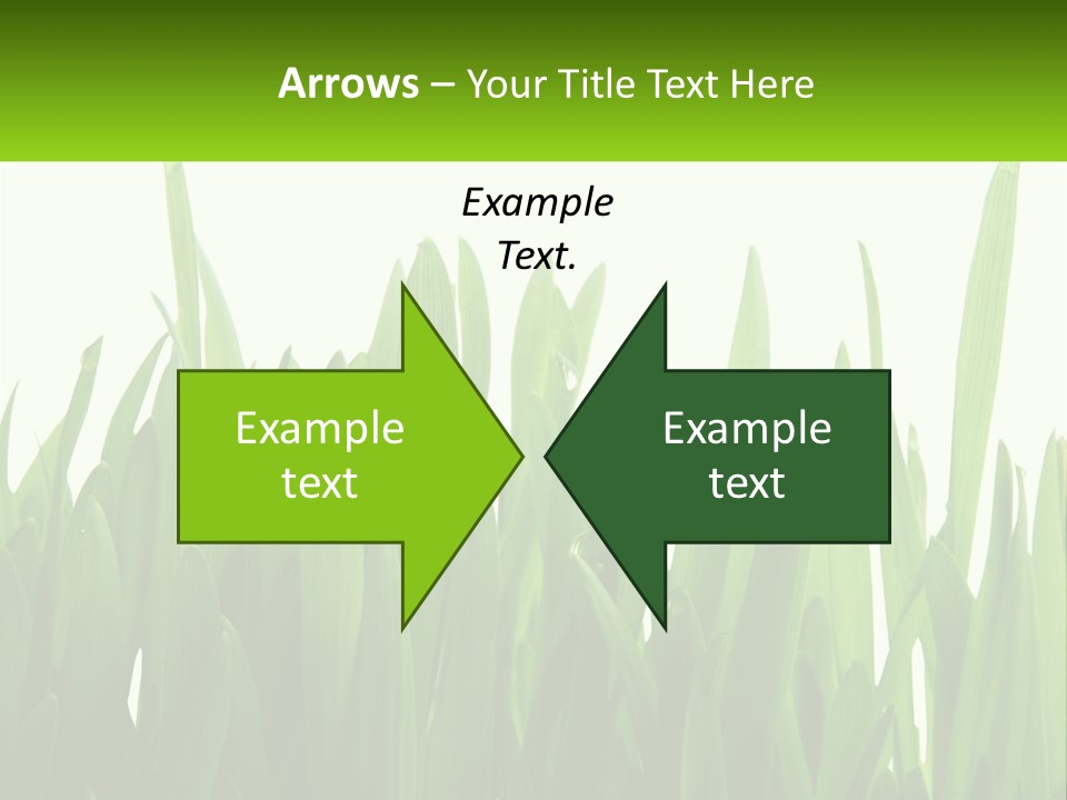 Pattern Path Decorative PowerPoint Template