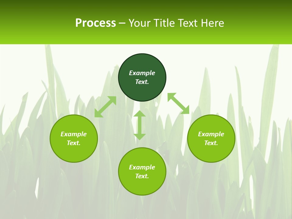 Pattern Path Decorative PowerPoint Template