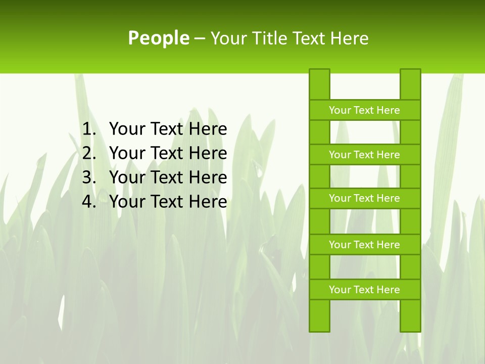Pattern Path Decorative PowerPoint Template
