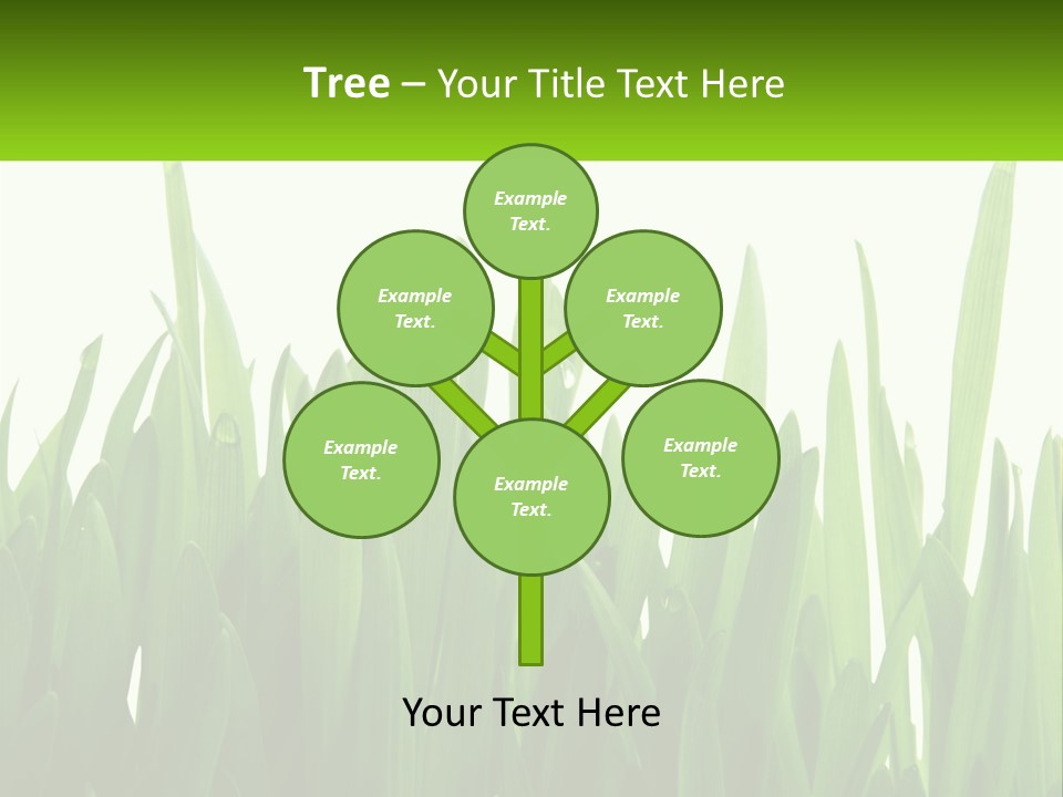 Pattern Path Decorative PowerPoint Template