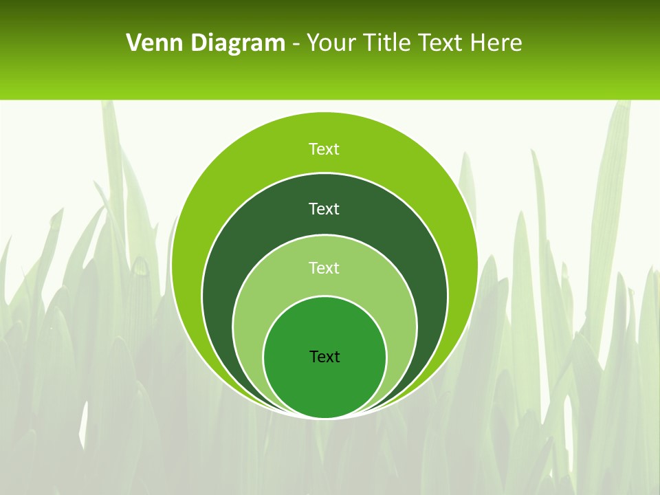 Pattern Path Decorative PowerPoint Template