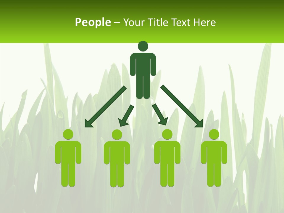 Pattern Path Decorative PowerPoint Template