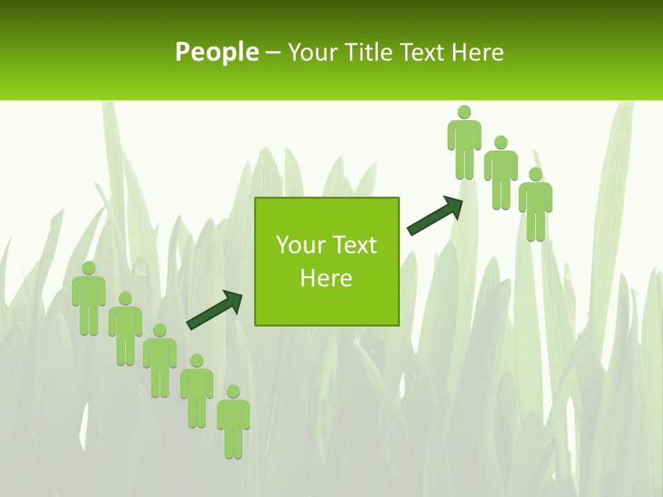 Pattern Path Decorative PowerPoint Template