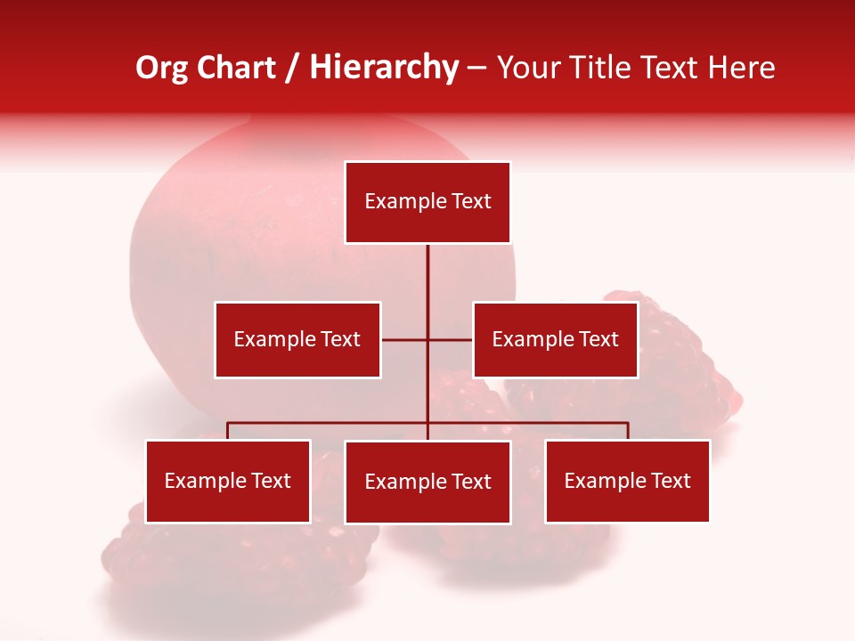 Fruit Pomegranate Ingredient PowerPoint Template
