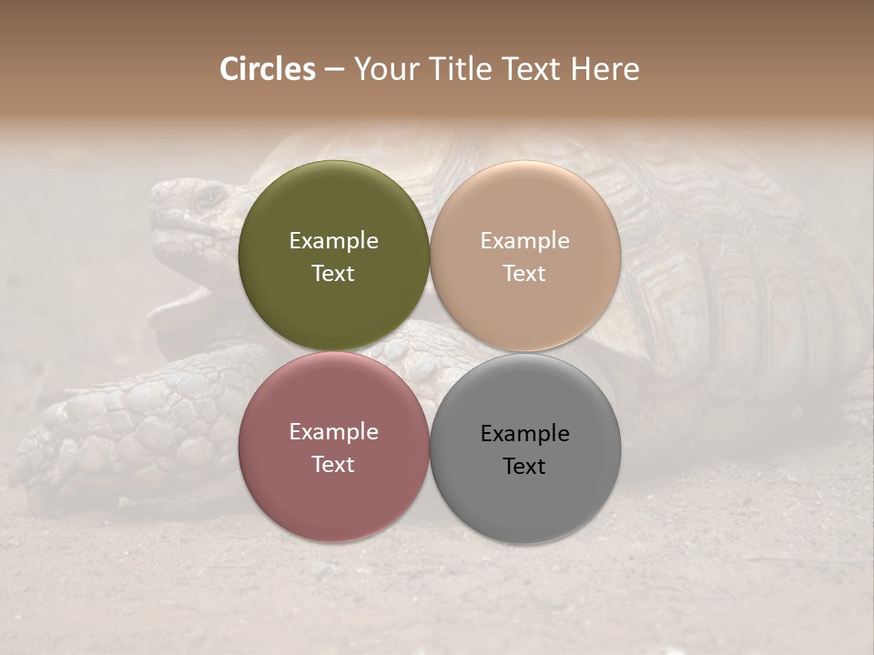 Scale Head Garden PowerPoint Template