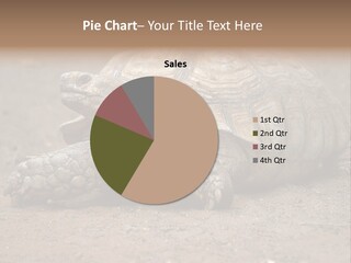 Scale Head Garden PowerPoint Template