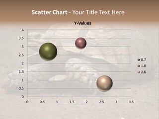 Scale Head Garden PowerPoint Template