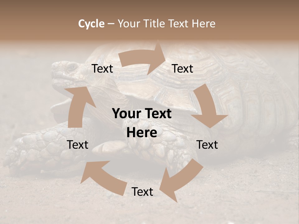 Scale Head Garden PowerPoint Template
