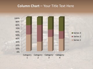 Scale Head Garden PowerPoint Template