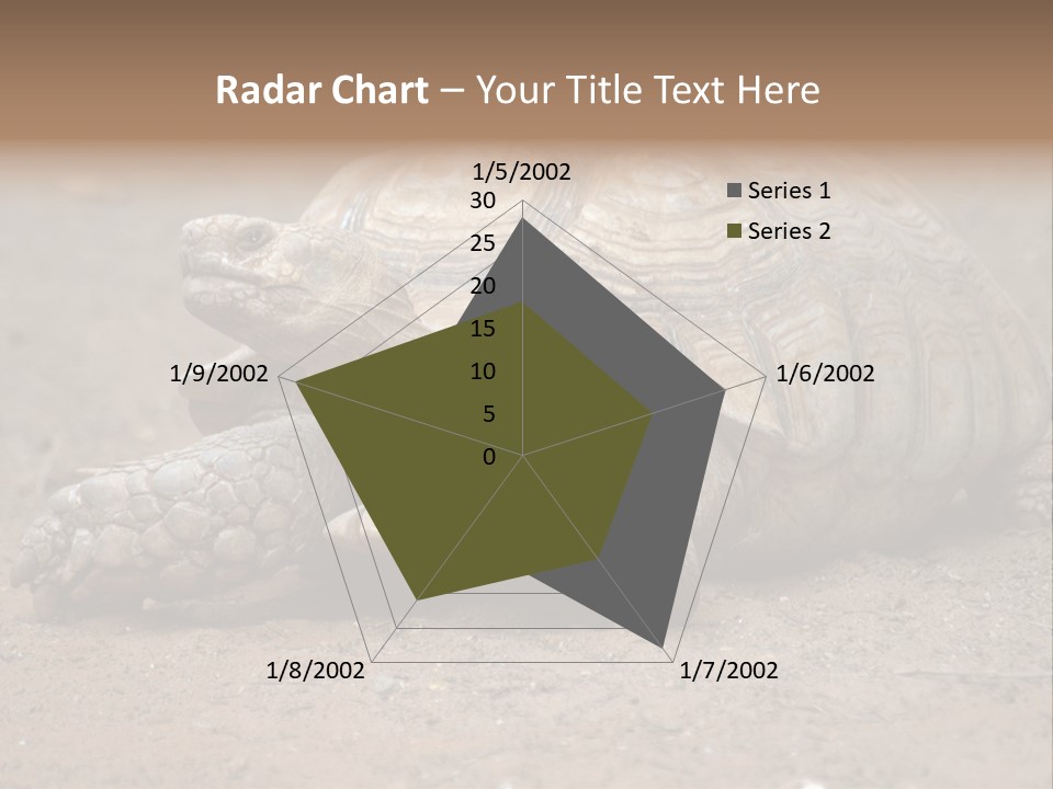 Scale Head Garden PowerPoint Template